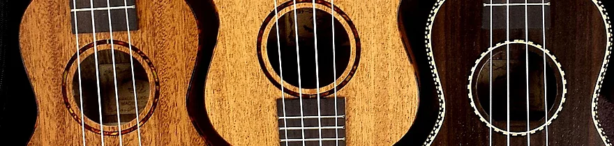 Veranstaltung: Ukulelekurs – Einfach(e) Lieder begleiten – Pädagogisches Handeln der Reformierten Landeskirche Aargau